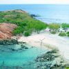 pigeon-island-trincomalee