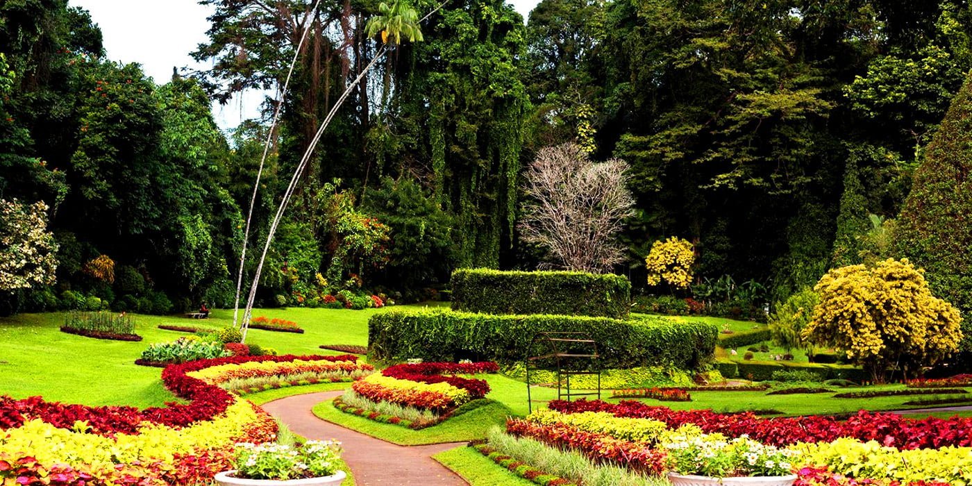 Royal Botanical Garden Peradeniya Kandy