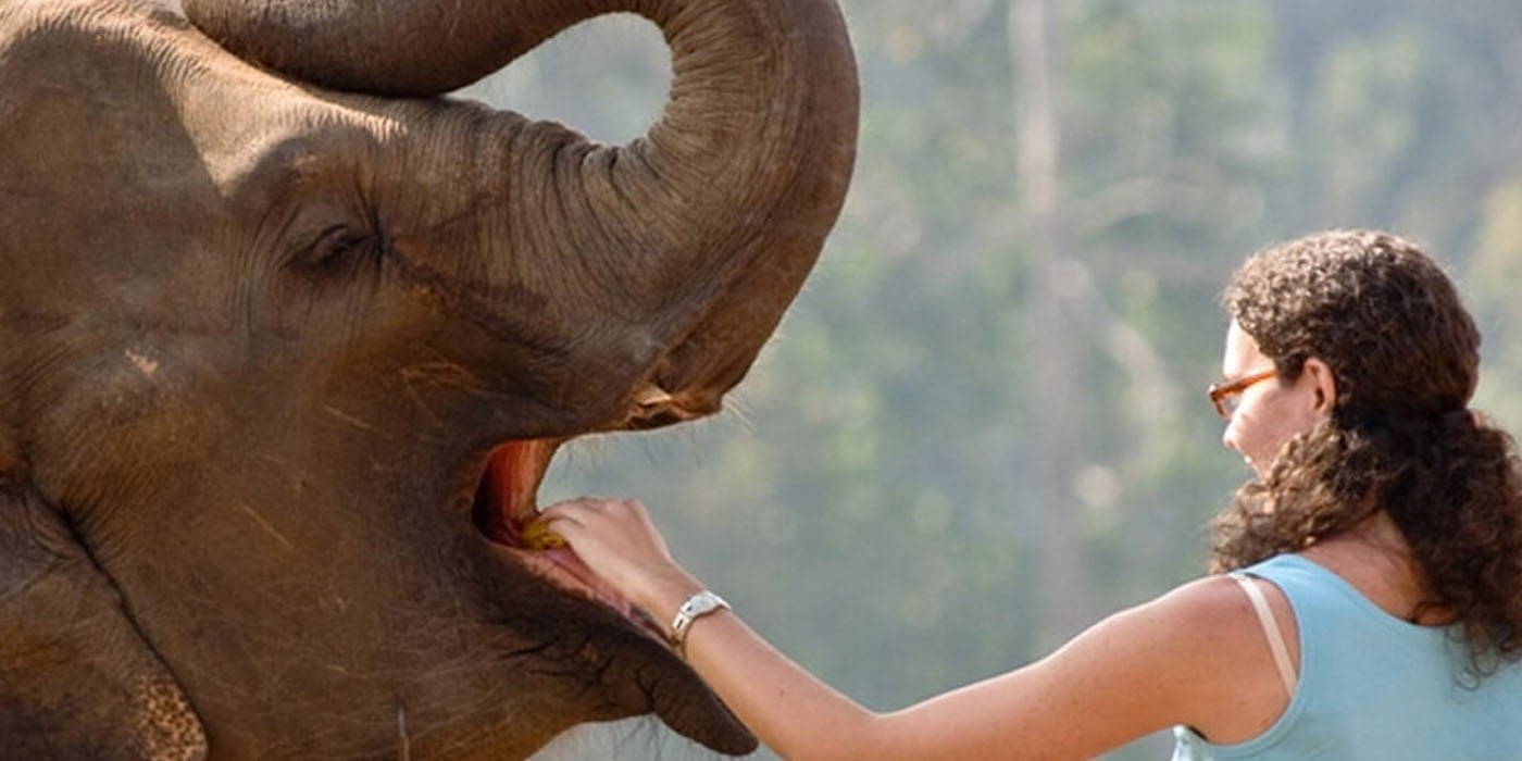 Pinnawala Elephant Orphanage - Sri Lanka Economy Tours