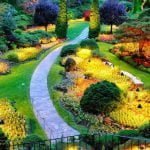 Peradeniya Royal Botanical Garden Sri Lanka Economy Tours