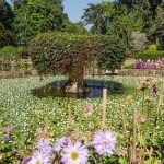 Peradeniya Royal Botanical Garden Sri Lanka Economy Tours
