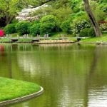 Peradeniya Royal Botanical Garden Sri Lanka Economy Tours