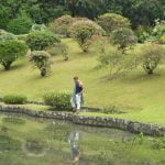 Peradeniya Royal Botanical Garden Sri Lanka Economy Tours