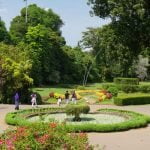 Peradeniya Royal Botanical Garden Sri Lanka Economy Tours
