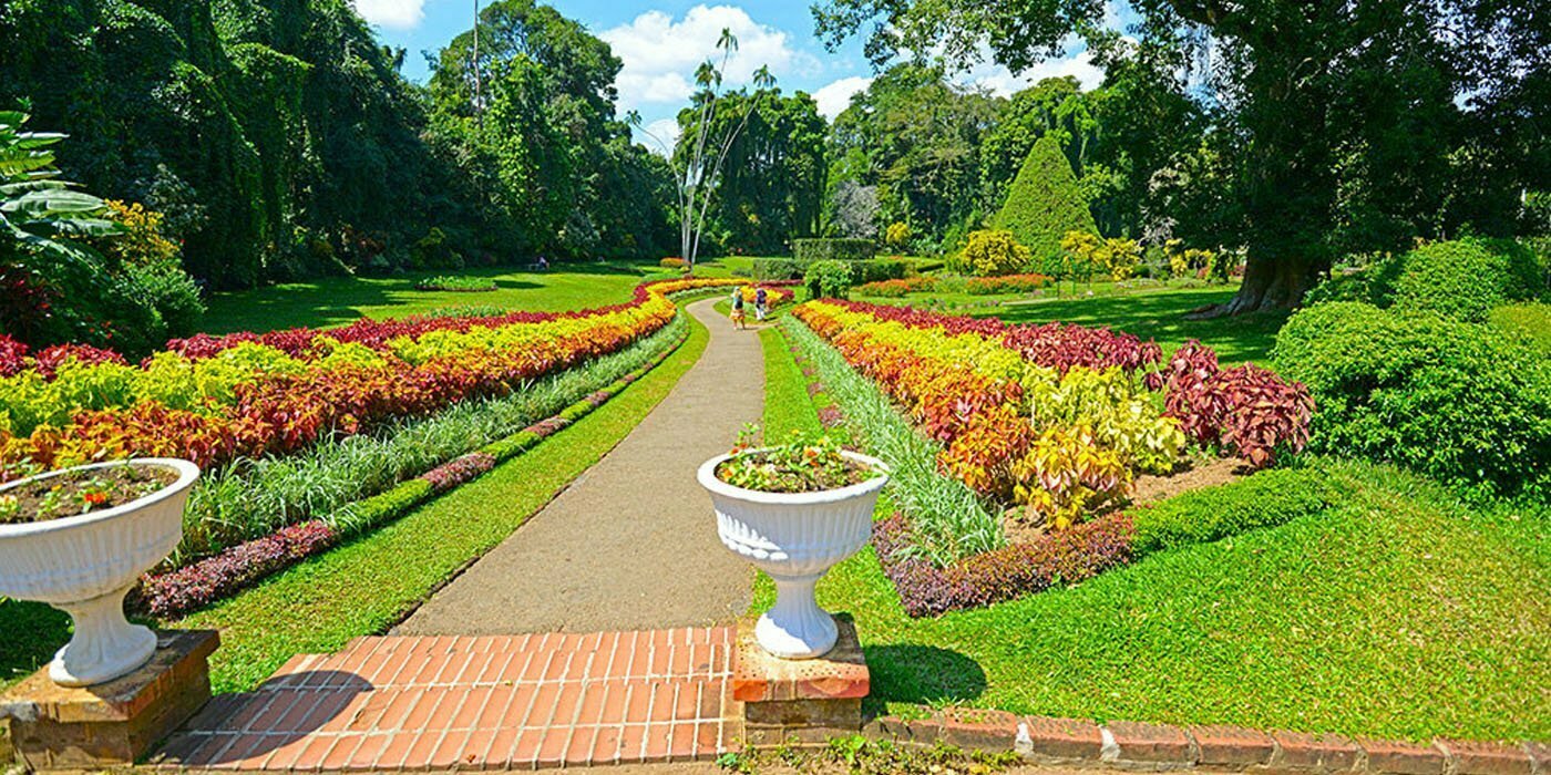 Peradeniya Royal Botanical Garden