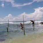 Stilt Fishermen at Koggala - Sri Lanka Economy Tours