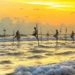 Stilt Fishermen at Koggala - Sri Lanka Economy Tours