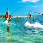 Stilt Fishermen at Koggala - Sri Lanka Economy Tours