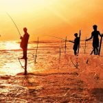 Stilt Fishermen at Koggala - Sri Lanka Economy Tours