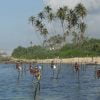 stilt-fishermen-koggala-sri-lanka-economy-tours-5