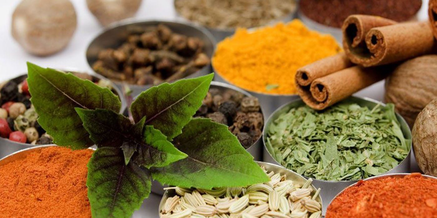 Herbs and Spices of Sri Lanka Economy Tours
