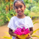 8 Reasons to Visit Sri Lanka in 2023