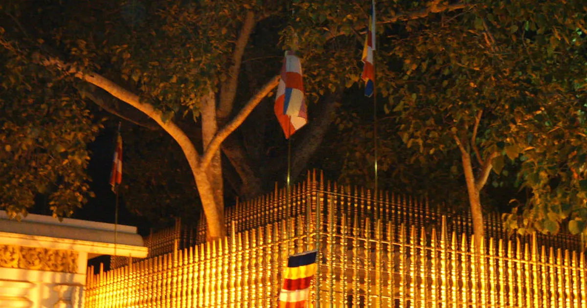 Jaya Sri Maha Bodhi Tree Anuradhapura