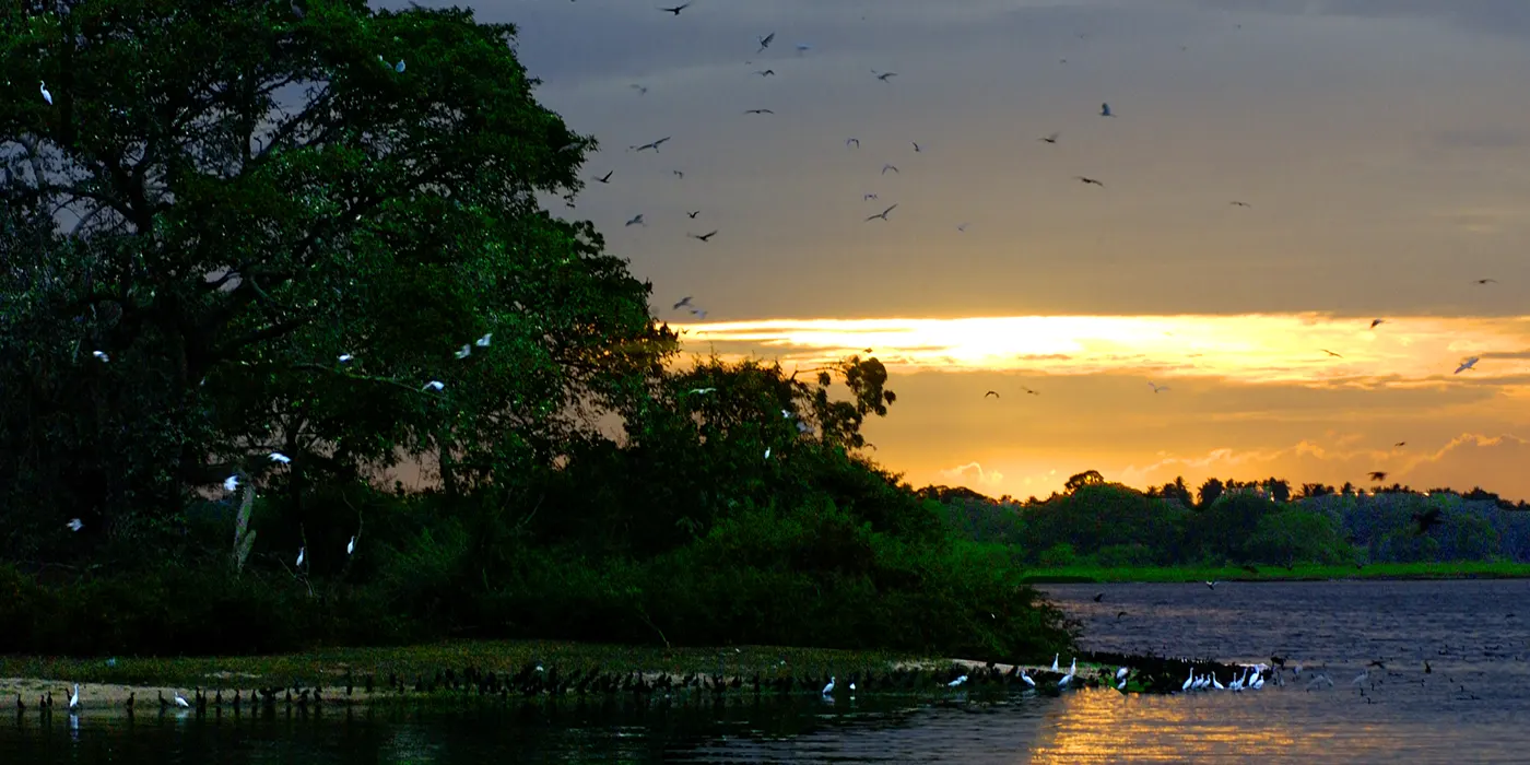 Bundala National Park