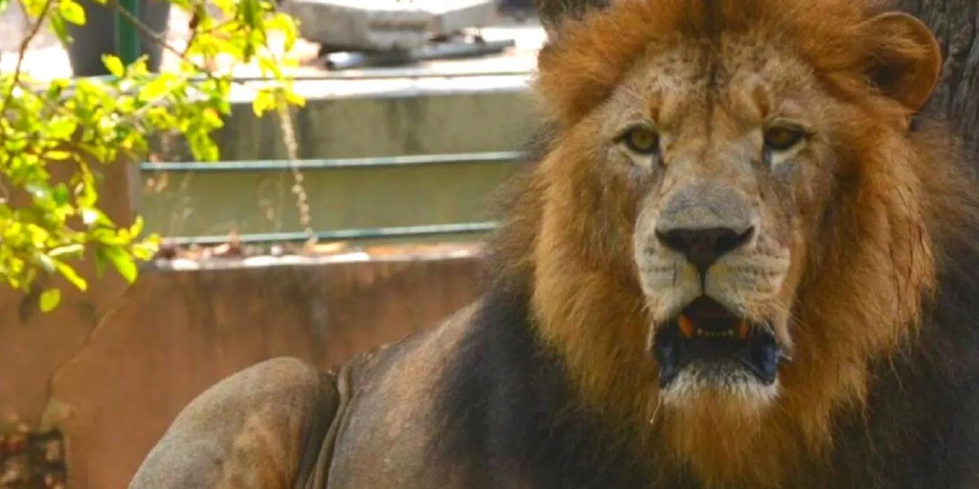 Dehiwala Zoo