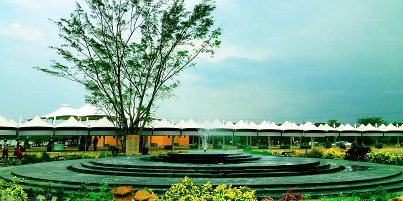 Diyatha Uyana