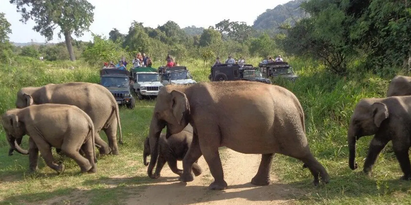 Hurulu Eco Park Safari