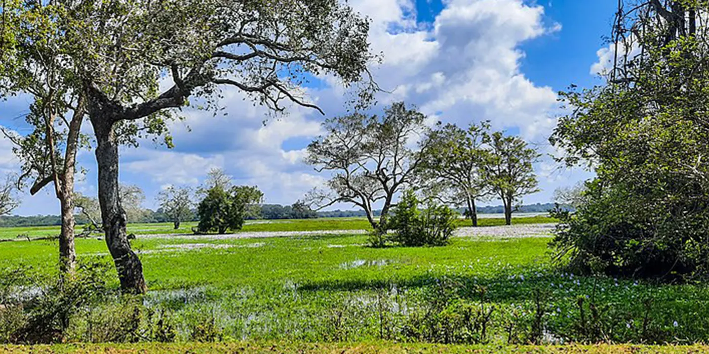 Lahugala Kitulana National Park