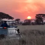 Sri Lanka Wildlife Safari: Explore 14 National Parks in 2024 39 Sri Lanka Wildlife Safari: An Unforgettable Journey into the Heart of Nature