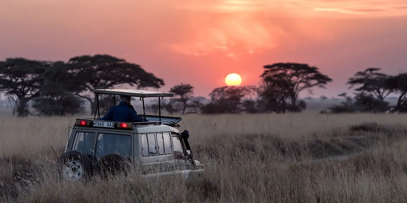 Sri Lanka Wildlife Safari: An Unforgettable Journey into the Heart of Nature