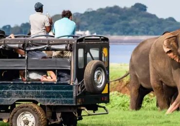 Sri Lanka in September: Weather, Places, Tips and More