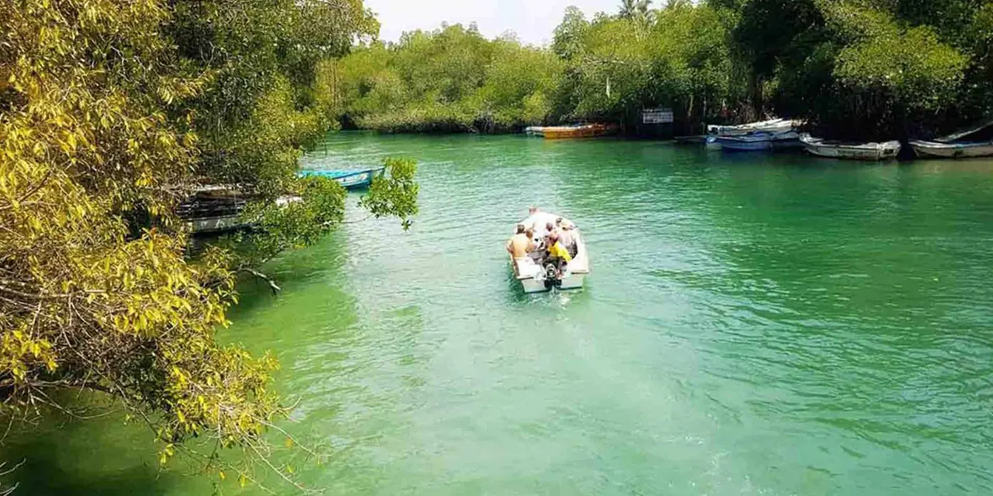 Madu river safari Hikkaduwa