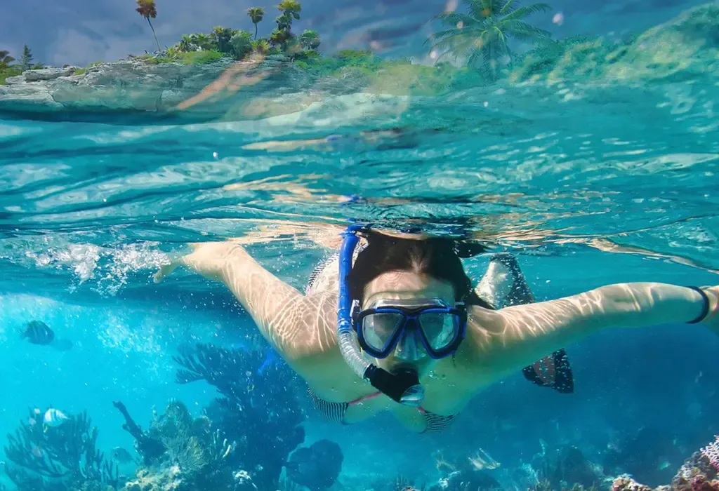 Snorkeling in Bentota