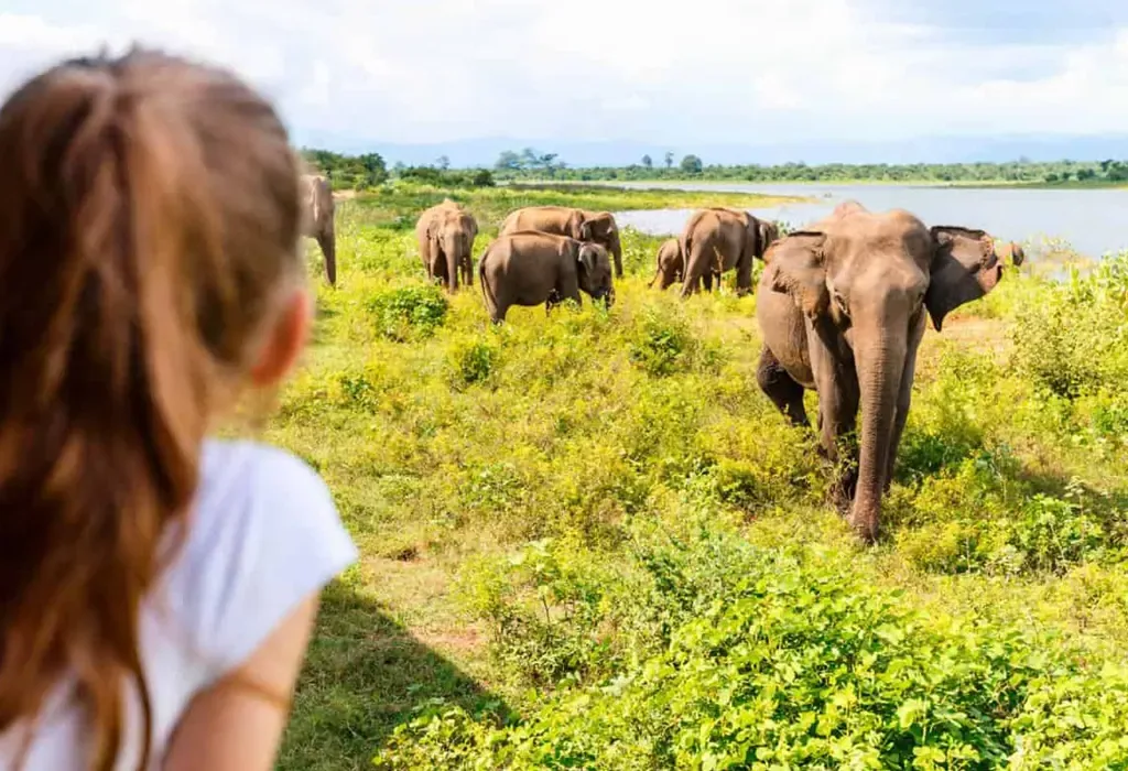 Travel Sri Lanka with Kids
