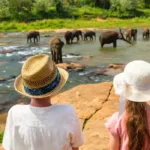 Visit Sri Lanka with Kids: A Family-Friendly Paradise 44 Visit Sri Lanka with Kids (2023): A Family-Friendly Paradise