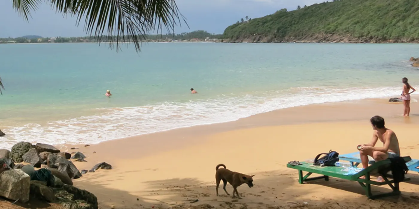 Jungle Beach Unawatuna: A Hidden Gem in Sri Lanka 13 Jungle Beach
