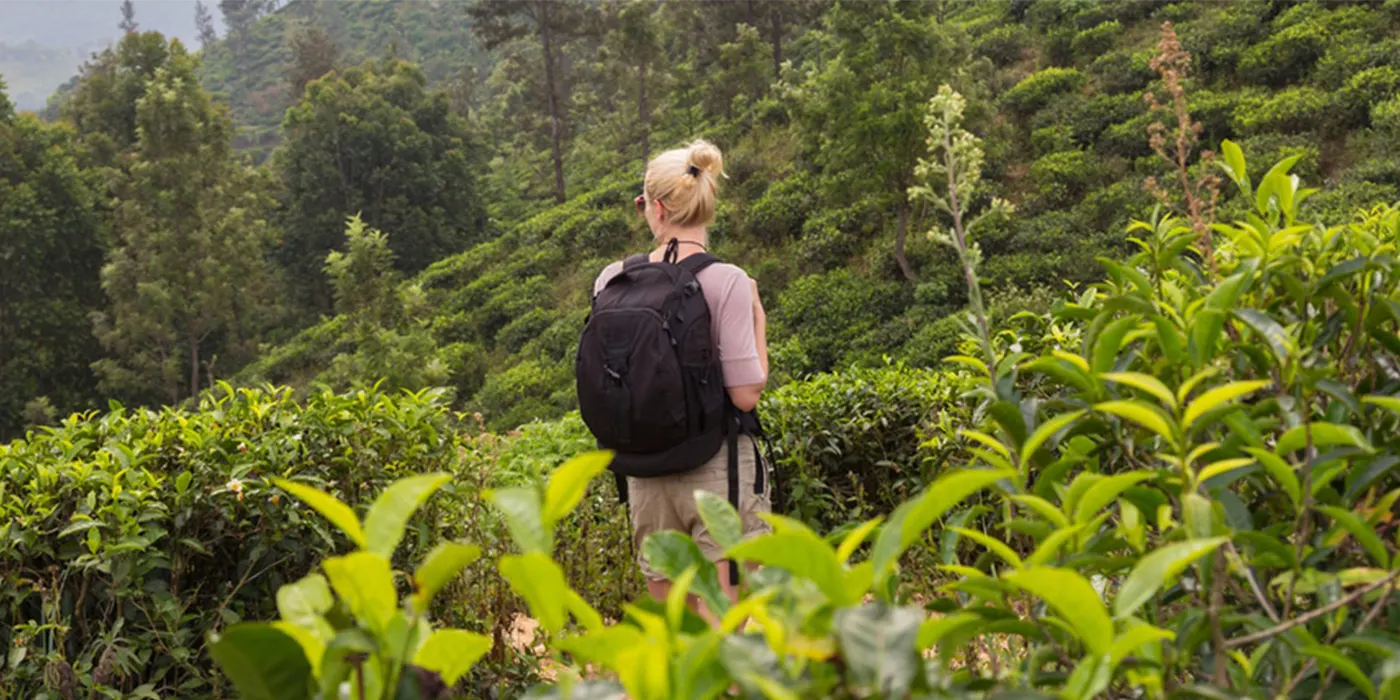 Sri Lanka Weather: Best & Worst Time to Visit by Month