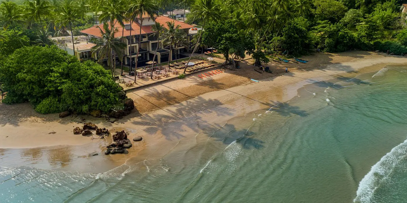 Jungle Beach Unawatuna: A Hidden Gem in Sri Lanka 14 Cocobay Unawatuna