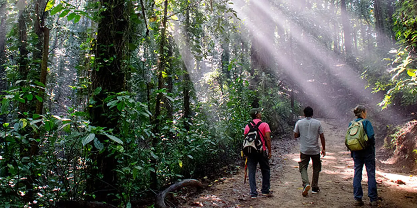 Udawatta-Kele Udawattakele Forest Reserve - Udawatta Kele