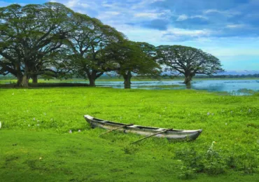 10 Things to Do in Tissamaharama for Every Type of Traveler