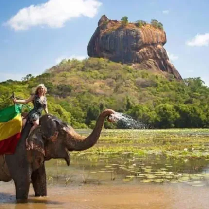 4 Nights 5 Days Sri Lanka Tour Package - Elephant Safari in Sigiriya