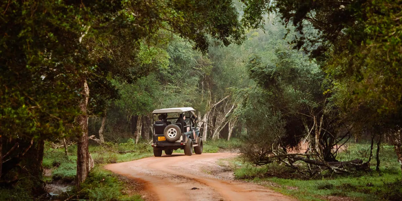 jeep-safari-wilpattu 4X4 Jeep Safari in Wilpattu National Park, Sri Lanka