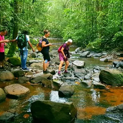 Sinharaja Day Tour - A Nature Lover’s Delight Starting from Galle