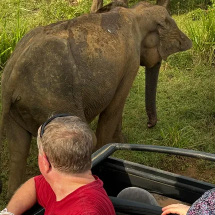Last Minute Tour in Sri Lanka - Lanka Tour Experts